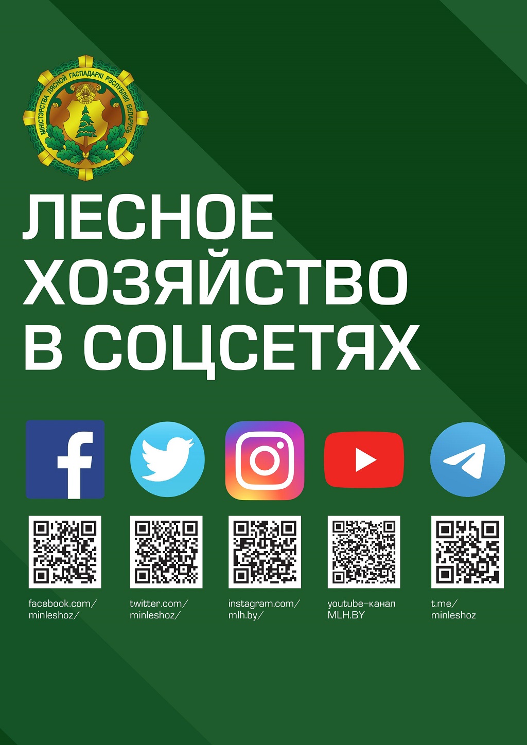 Лесное хозяйство в соцсетях