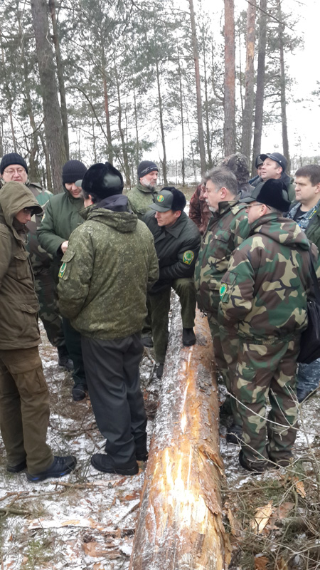 Семинар 31.01.2018