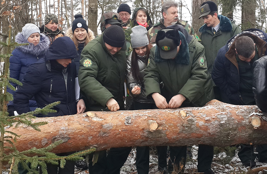 Семинар лесопатолога на территории Березинского лесничества