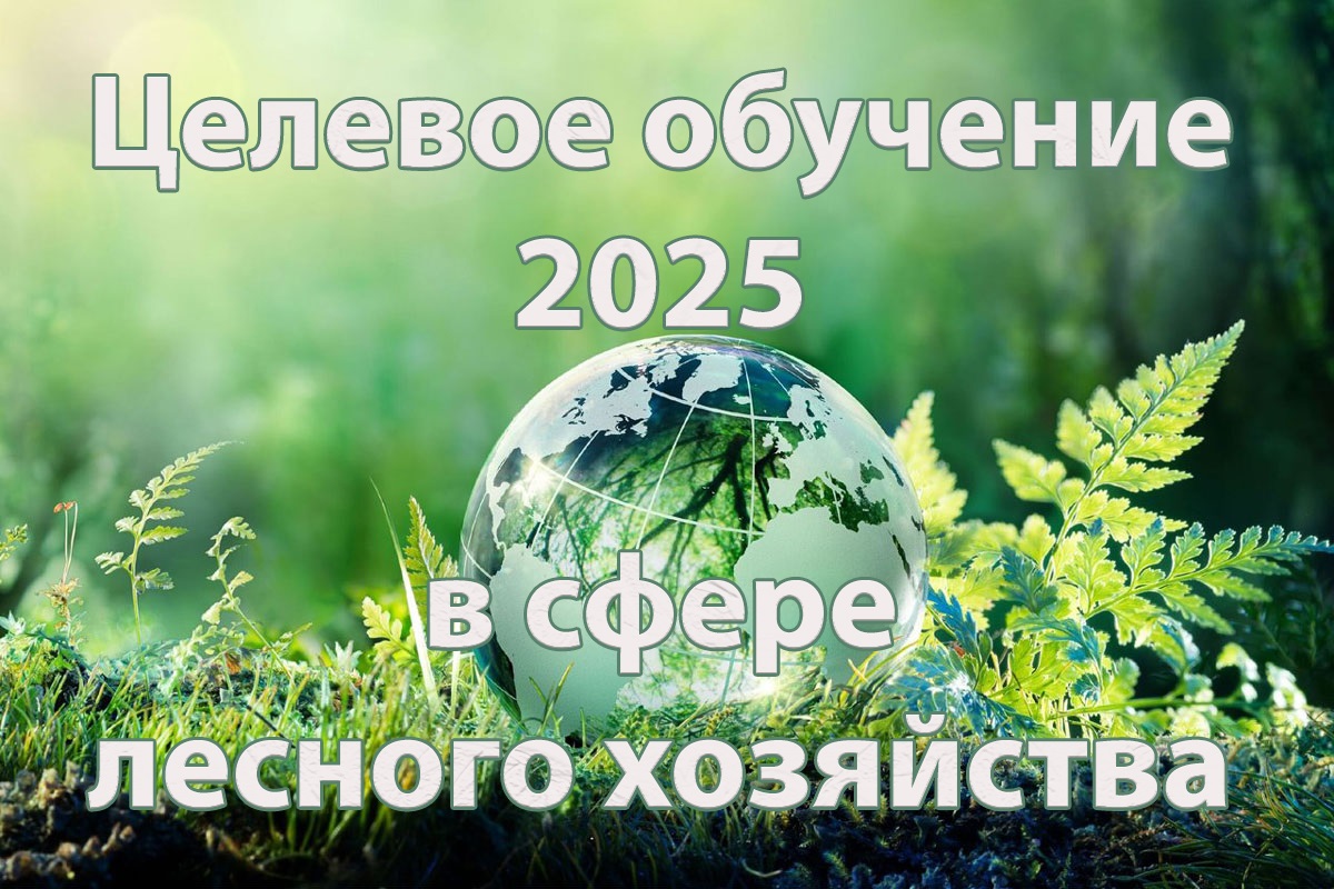 20250228 01