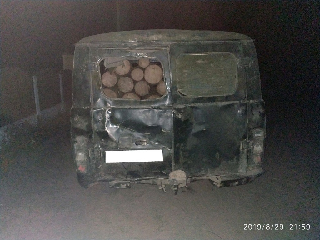 Автомобиль с лесом
