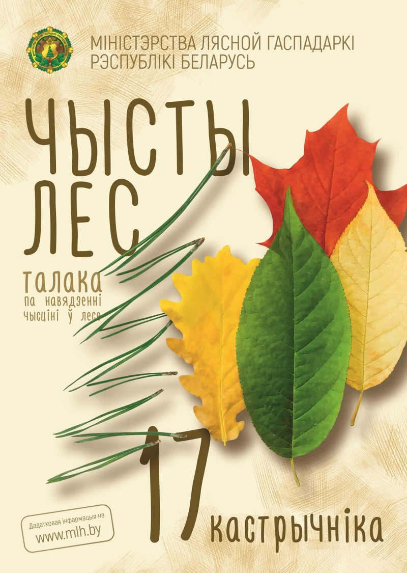 Чистый лес 2020