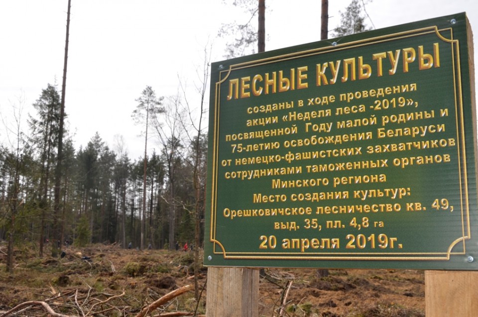 Неделя леса 2019, Минская таможня, лесничество