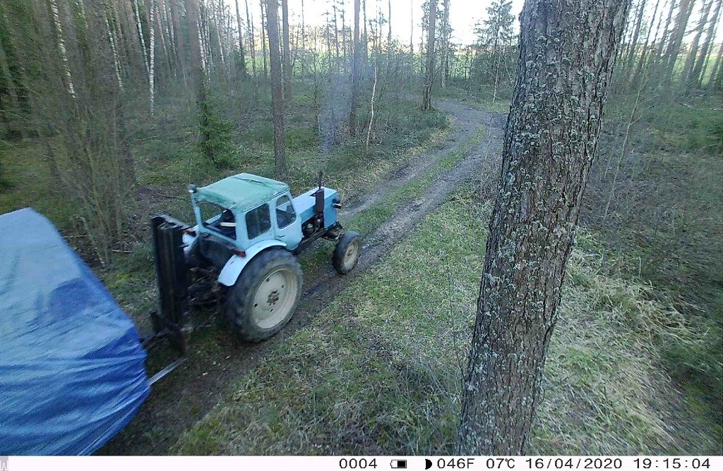 Фотоловушка - Осово