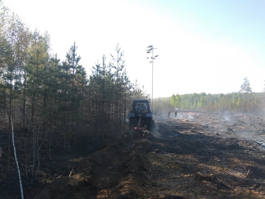 Пожар в Богушевичском лесничестве