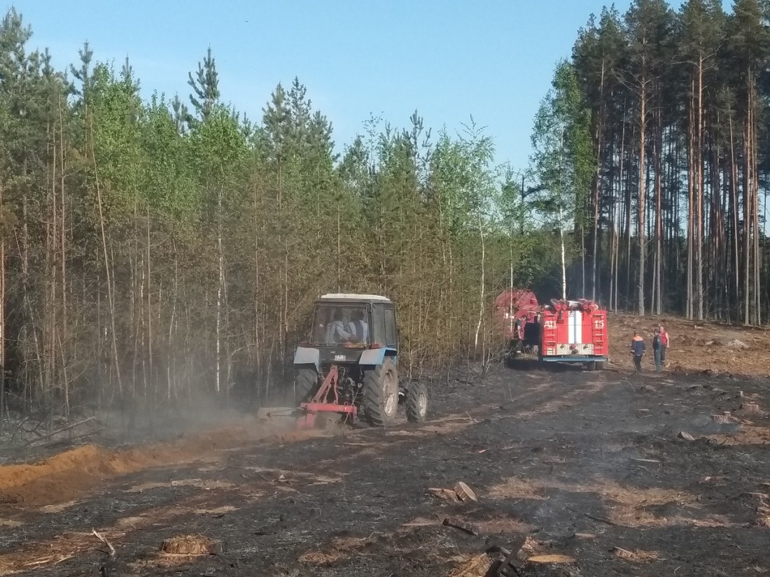 Пожар в Богушевичском лесничестве - пожарные машіны