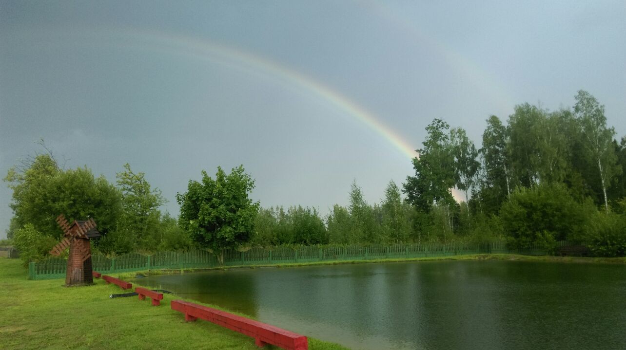 Пруд Березинского лесничества