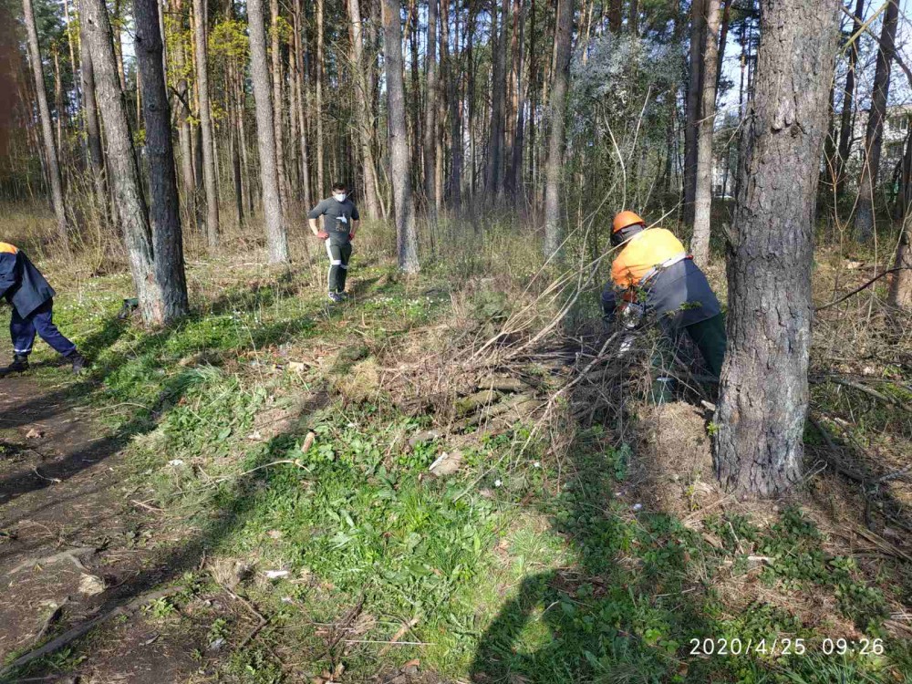 Субботник ГЛХУ Березинский лесхоз
